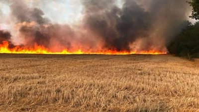 نشوب حريق بـ12 قيراطًا من القمح بمركز نقادة في قنا