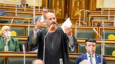 فتحي قنديل في الصدارة.. ننشر نتيجة الحصر العددي لدائرة نجع حمادي ودشنا والوقف بقنا