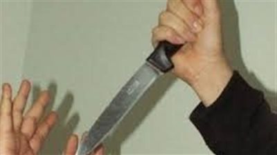 الأمن ينجح في فك لغز مقتل سيدة مسنة داخل شقتها بالهرم 