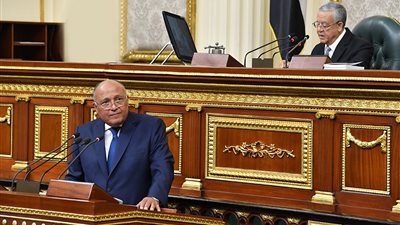 وزير الخارجية يعلن زيارة وفد برلماني لإريتريا لحل أزمة الصيادين المحتجزين