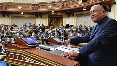 وزير الخارجية: لا توجد دول صديقة ذات علاقات وطيدة مع مصر تمول سد النهضة ولكن توجد شركات