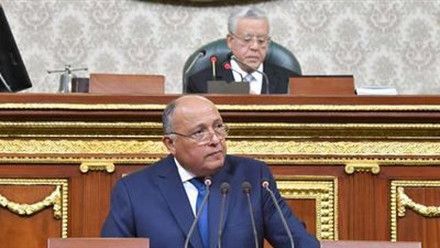 وزير الخارجية: لن يقع ضرر على مصر حال الملء الثاني لسد النهضة 