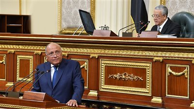 وزير الخارجية أمام  لجنة الشؤون الإفريقية بمجلس النواب بعد قليل 