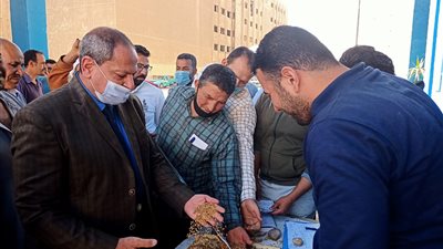 وكيل تموين المنيا: ورّدنا 700 طن قمح في أول أيام توريد المحصول