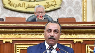 وكيل تشريعية النواب: البناء على الأراضي الزراعية يمثل تهديدًا للأمن الغذائي 