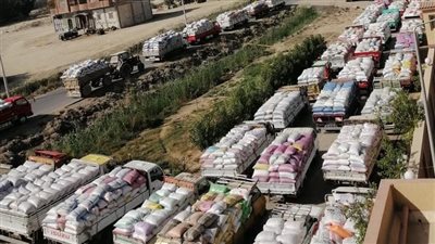 حصاد 5515 فدان قمح في 4 أيام بالإسكندرية