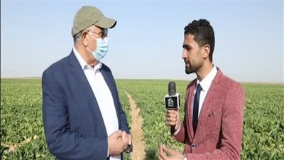 القصير: القطاع الزراعي أثبت قدرته على مواجهة كورونا وكنا نصدر للخارج (فيديو)