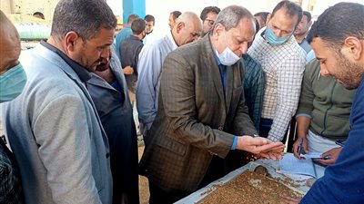 توريد 2400 طن أقماح إلى صوامع المنيا