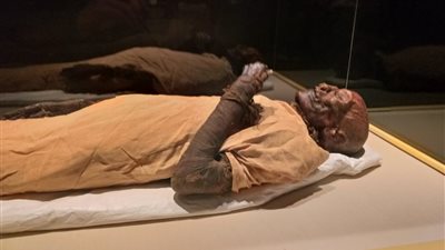 بعد تفككها  لـ187 جزءًا.. الصورة الأولى لمومياء الملك رمسيس السادس بعد عرضها بمتحف الحضارة