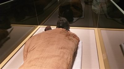 تشبه وادي الملوك..  ننشر الصور الأولى لقاعة المومياوت الملكية بمتحف الحضارة 