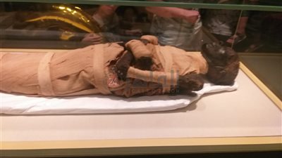 صاحب أول إمبراطورية.. الصورة الأولى لمومياء تحتمس الثالث بعد عرضها بمتحف الحضارة