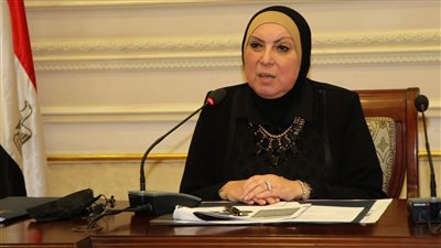 وزيرة الصناعة تستعرض ملامح قانون تنمية المشروعات المتوسطة والصغيرة ولائحته التنفيذية