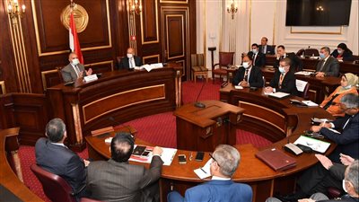 84 مليار متر مكعب سنويًا.. وزير الري: مواشي إثيوبيا تستهلك مياهًا بقدر حصة مصر والسودان مجتمعين