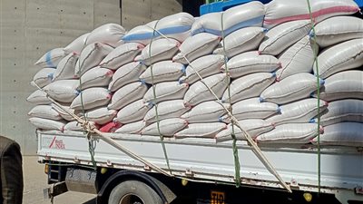 توريد 3 آلاف و300 طن من الأقماح إلى صوامع المنيا