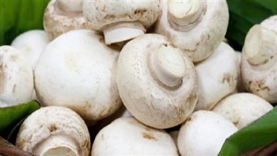 تعرفي على فوائد المشروم للشعر والبشرة ولمرضى السكر