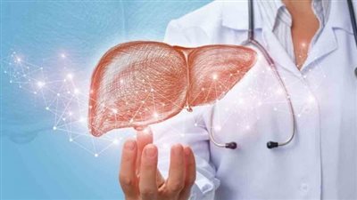 مشروبات طبيعية تحسن صحة الكبد