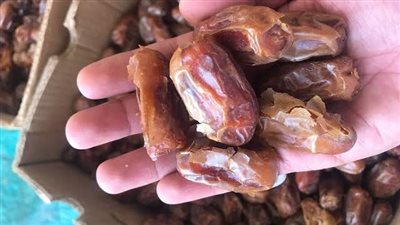 ضبط 250 كيلو تمور فاسدة قبل بيعها للمواطنين ببورسعيد