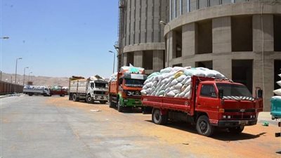 محافظ سوهاج: توريد 3951 طن أقماح للشون والصوامع خلال 5 أيام  