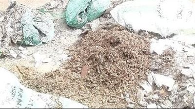 ضبط صاحب مخبز بالبحيرة لقيامه ببيع الدقيق وتعبئة الشكائر الفارغة بالقمامة 