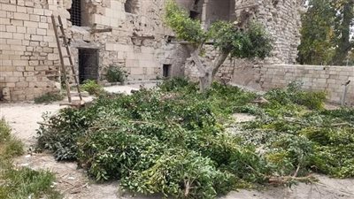 بعد إزالة التعديات.. معلومات هامة عن البرج الأثري الغربي في الإسكندرية