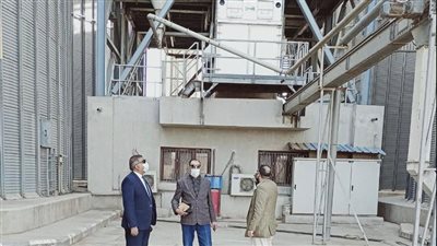 بدءًا من اليوم.. 29 شونة وصومعة تستقبل القمح بالبحيرة