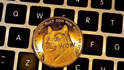 دوجكوين.. عملة مشفرة جديدة تحقق أرقاما قياسية بأكثر من 42 مليار دولار