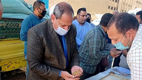 وكيل تموين المنيا