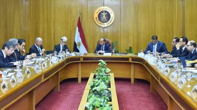 وزير الصناعة يطالب شركات السيارات اليابانية بضخ استثمارات جديدة في مصر