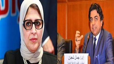 عمرو أديب: هذه الجهة من تحدد إجادة أو تقصير مدير معهد القلب المقال (فيديو)