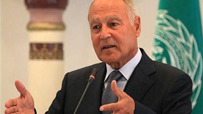 أبو الغيط: مصر لا تستطيع تلبية كافة احتياجات أفريقيا