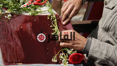 مستشار وزير الزراعة يكشف سبب اختفاء رائحة الورد البلدي (فيديو)