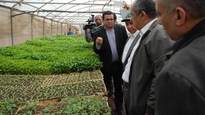 أزمة فى وزارة الزراعة بسبب السيطرة على برنامج إنتاج تقاوي الخضر