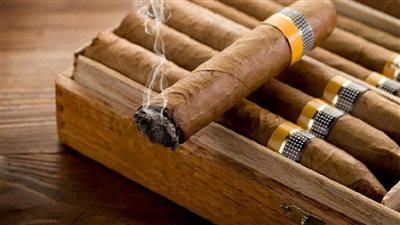 مصر تتجه لتصنيع “السيجار ومعسل النكهات” لتنمية الصادرات