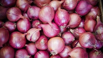 لاحتواءه متبقيات المبيدات ومادة مسرطنة.. البصل المصري يقع في فخ «الحظر» (مستندات)