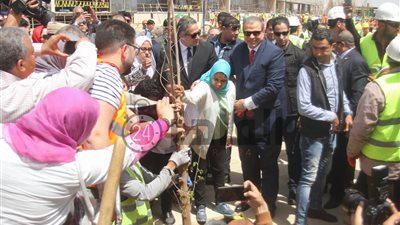 وزيرا الآثار والقوى العاملة يشهدان زرع 100 شجرة بالمتحف الكبير