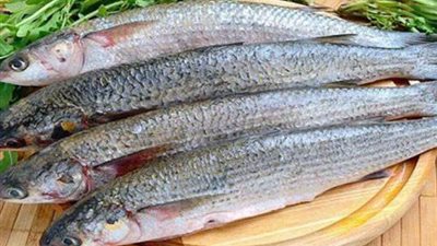 قبل شم النسيم.. نصائح لاختيار الفسيخ والرنجة وتجنب التسمم