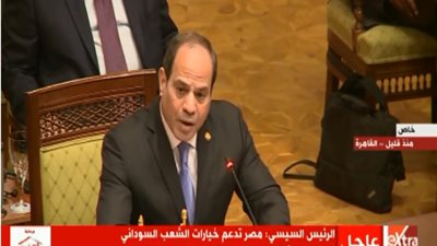 وصول رئيسي رواندا والكونغو للقاهرة للمشاركة في القمة التشاورية