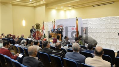 “الوطنية للانتخابات”: 831 ألف و172 بنسبة 3.06% عدد الأصوات الباطلة في الاستفتاء
