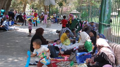 مدير حديقة الحيوان: الطفل التائه يصل لأسرته في دقائق (فيديو)