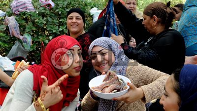 فسيخ ورنجة وبيض ملون.. المصريون يحتفلون بشم النسيم في حدائق القاهرة