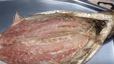 فسيخ فيه سم قاتل.. هاني الناظر يحذر من تناوله في يوم شم النسيم