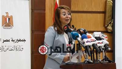 منسق مشروع 2 كفاية: نفذنا 693 ألف زيارة طرق أبواب (فيديو)