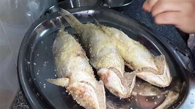 هل هناك أضرار للحوامل والمرضعات من تناول الفسيخ؟.. “القومى للسموم” يجيب