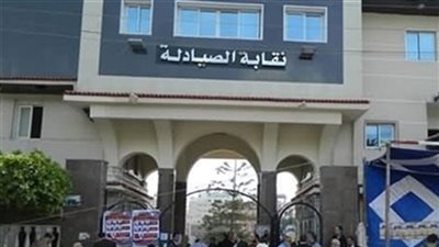 القائم بأعمال نقيب الصيادلة: لن نترك النقابة تحت الحراسة القضائية