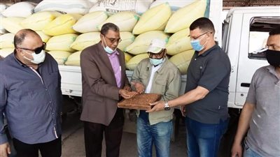 145 ألف جنيه غرامة على مزارعين لم يلتزموا بتوريد القمح للشون الحكومية ببورسعيد 