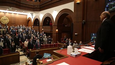 بعد موافقة الشيوخ.. ننشر النص الكامل لمشروع قانون الصكوك السيادية 