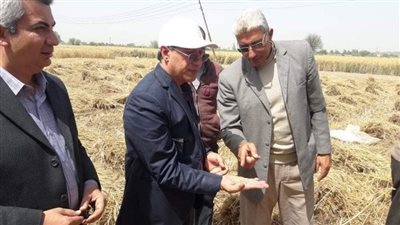 الأولى على مستوى الجمهورية.. انطلاق موسم حصاد القمح في الشرقية (صور)