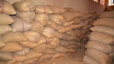 شون وصوامع سوهاج تستقبل 7924 طن قمح من المزارعين بالمحافظة    