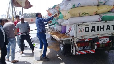 توريد 2138 طنًا من القمح بصوامع الأقصر