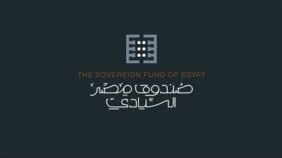 الحكومة تكشف دور صندوق مصر السيادي في طرح فرص استثمارية بالشراكة مع القطاع الخاص (انفوجراف)